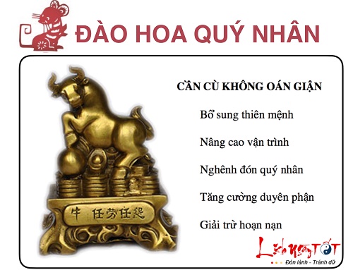 dao hoa suu